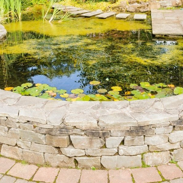 How to build a raised pond?